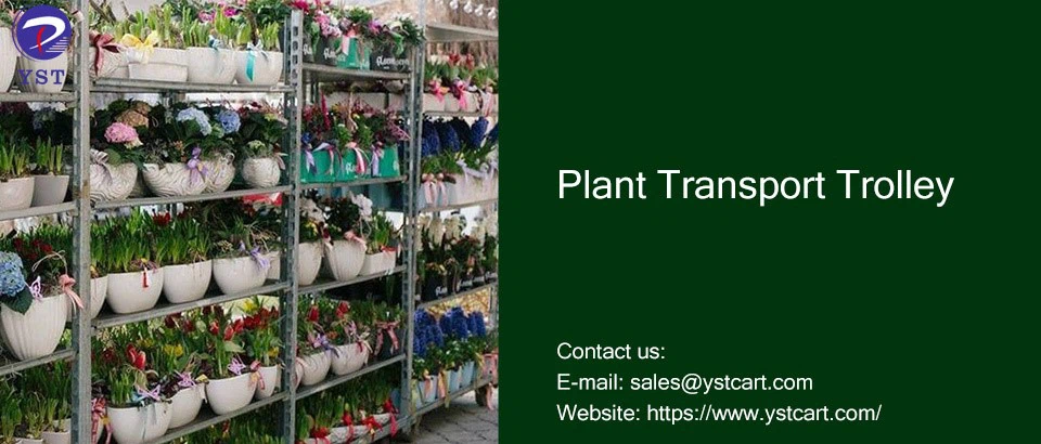 Plant Transport Trolley Plant Transport Trolley