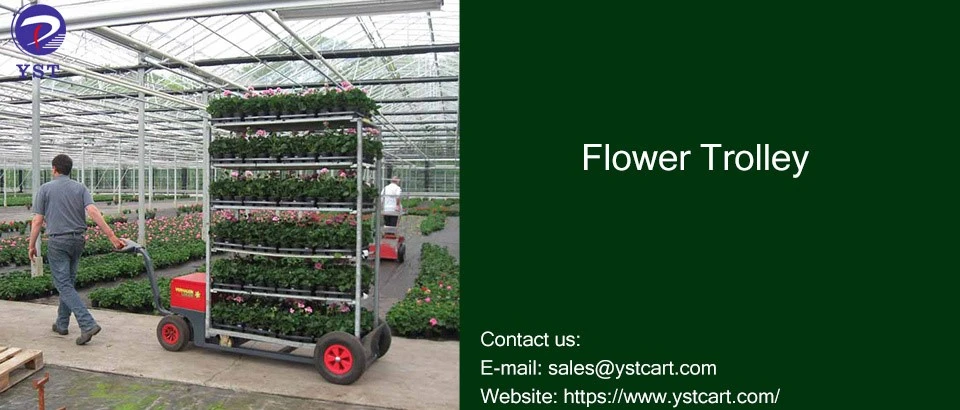 Choose Flower Trolley Solutions Choose Flower Trolley Solutions