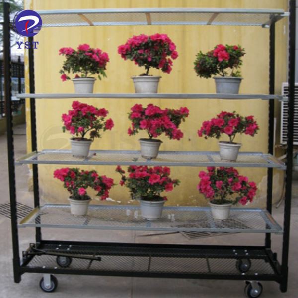 Metal Flower Trolley