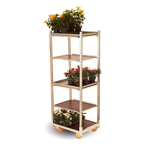 מה זה טרולי