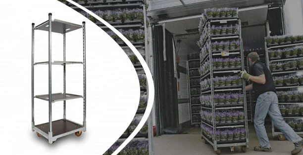 עגלה הולנדית