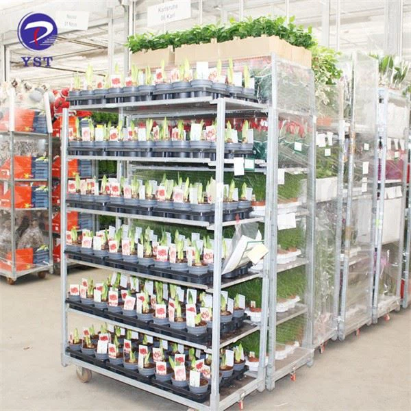 Dutch Flower Auction Trolley