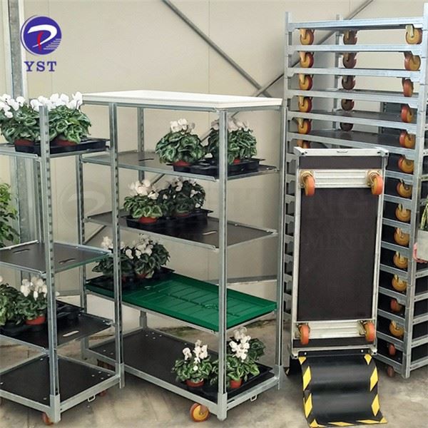 Rolling Plant Trolley