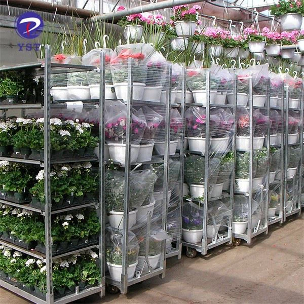 Rolling Plant Trolley