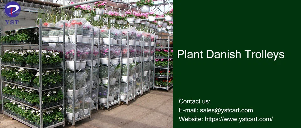 Plant Danish Trolleys-11 Plant Danish Trolleys-11