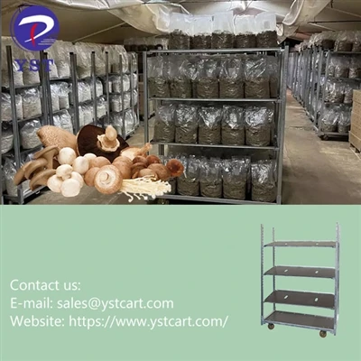 מקסום התשואה והיעילות עם עגלות דניות בחקלאות פטריות